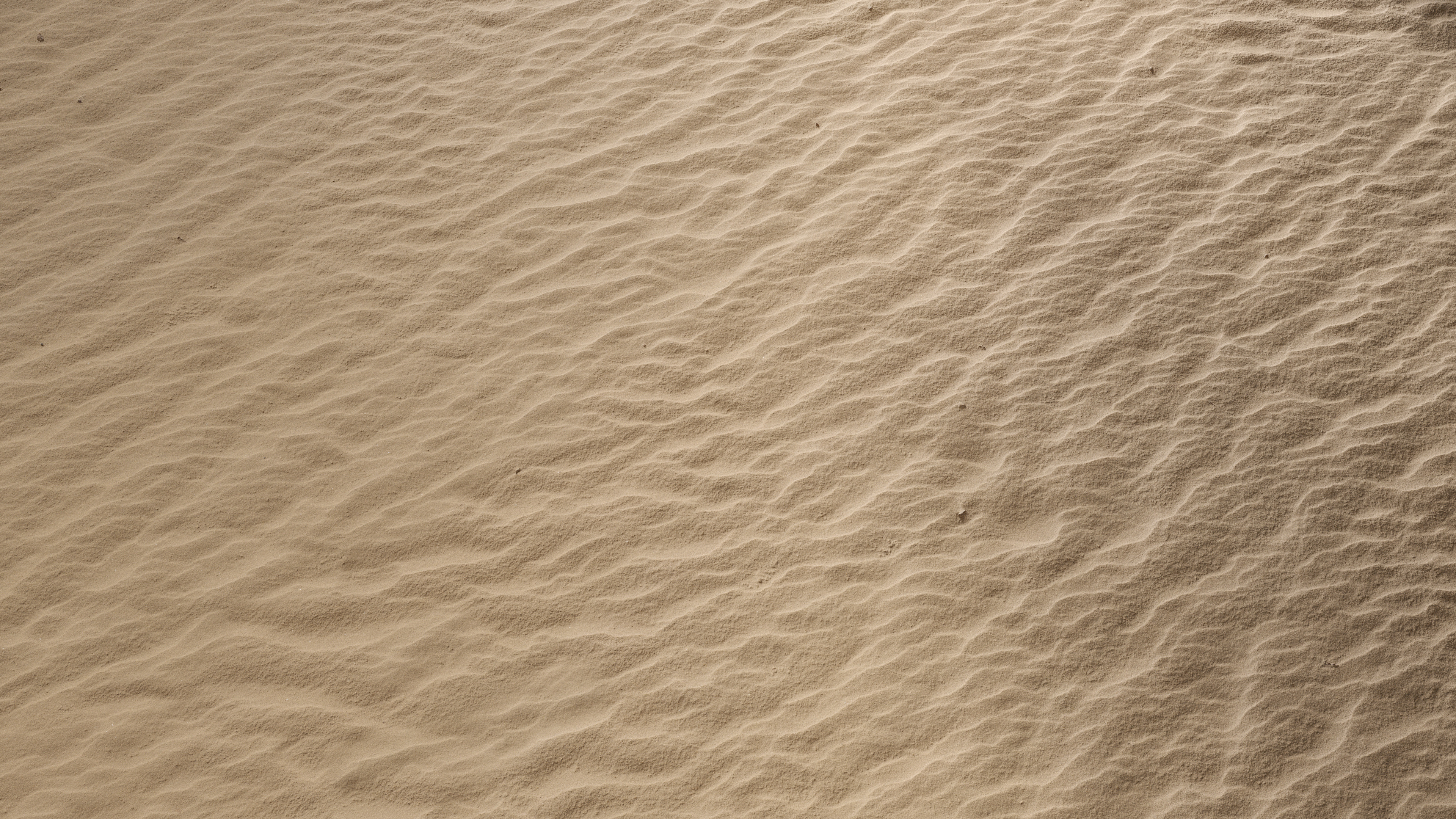 Бесшовная текстура песка